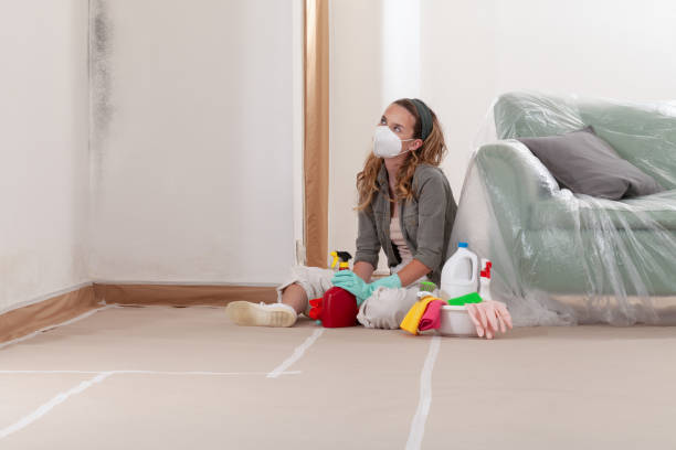 Reliable Mold Remediation contractor in Columbus, MN by 24 Hour Mold Removal